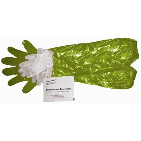 HME GAME CLEANING GLOVES W/TOWELETTE